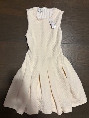 bebe Ivory Textured Fit-and-Flare Dress
